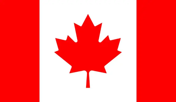 Illustration Der Kanadischen Flagge Hockey Ahorn Bundesstaat Stadt Kanadier Kaltschnee — Stockvektor