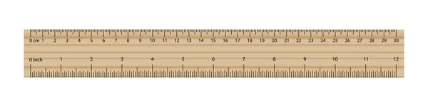 Wooden Ruler White Background Illustration Centimeter School Measurement Line Drawing — Stock Vector