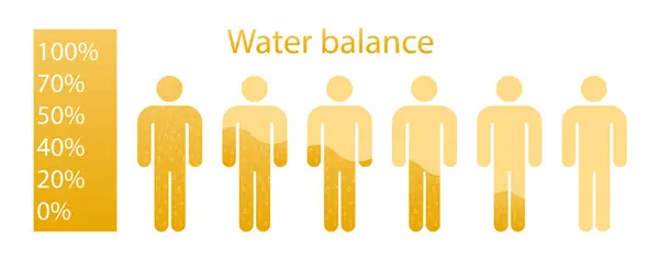 一个人的水分平衡在黄色的插图中 适当的营养 健康的生活方式 矢量图标 — 图库矢量图片