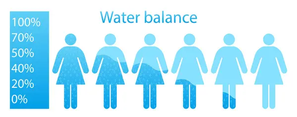 蓝色图解的女人的水分平衡 适当的营养 健康的生活方式 矢量图标 — 图库矢量图片