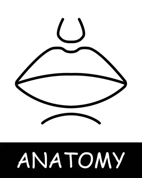 Значок Линии Рта Орган Зубы Губы Анатомия Медицина Обучение Врач — стоковый вектор
