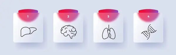 Organe Setzen Symbole Leber Gehirn Lunge Dna Nummerierung Flaches Design — Stockvektor