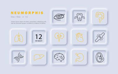 Organlar simge oluşturdu. Bağırsak, mide, karaciğer, beyin, akciğerler, embriyo, DNA, diş, göz, kalp, göz kapakları, kirpikler. Örgü, gradyan. Kişisel bakım konsepti. Neomorfizm biçimi.