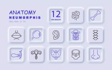 Anatomi set simgesi. Beyin, kalp, akciğer, karaciğer, kemik, mide, göz, DNA, kulak, kafatası, bağırsaklar, rahim, omurga.