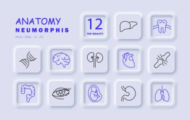 Anatomi set simgesi. Beyin, kalp, akciğer, böbrek, diş, mide, karaciğer, üreme organları, kemikler, kaslar, tıbbi, fizyolojik, insan vücudu gibi çeşitli anatomik elementler.
