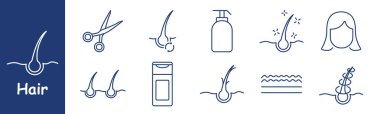 Saç seti ikonu. Saç kökü, makas, bakım ürünleri, kafa derisi bakımı, kırık uçlar, şampuan, yapı, kütikül, sağlıklı kadın saç stili, büyüme.