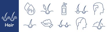 Saç seti ikonu. Kafa derisi bakımı, pH dengesi, şampuan şişesi, saç tedavisi, foliküller, büyüme, sağlıklı kafa derisi, köpük, kayıp, kafa derisi suyu, beslenme