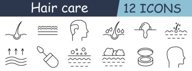 Saç bakım seti ikonu. Folikül, dalga, kafa, damla, nem, kuruluk, restore, büyüme, pullanma, şişme, kap, kafa derisi