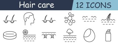 Saç bakım seti ikonu. Foliküller, profil, kök, parçacıklar, dalga, sıkılık, kar, pürüzsüzlük, kabarcık, dağıtıcı, kafa derisi