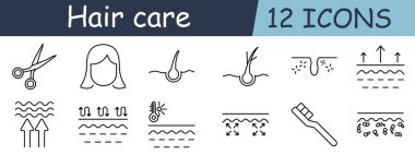 Saç bakım seti ikonu. Makas, kadın, kök, folikül, kepek, yumuşaklık, hacim, nem, sıcaklık, soğurma, fırça, pullar.