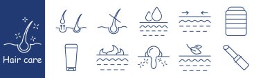 Saç bakım seti ikonu. Folikül, şampuan, saç dökülmesi, hidrasyon, koruma, krem, büyüme serumu, kafa derisi, cilt bakımı, nem, kök, kozmetik, hijyen, yumuşaklık.