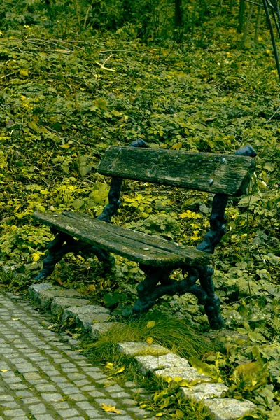 秋天森林里的长椅 秋天公园 — 图库照片