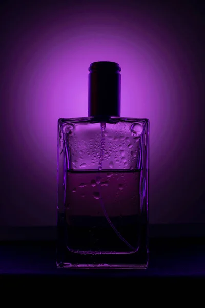 Parfymflaska Svart Bakgrund Med Rosa Ljus — Stockfoto