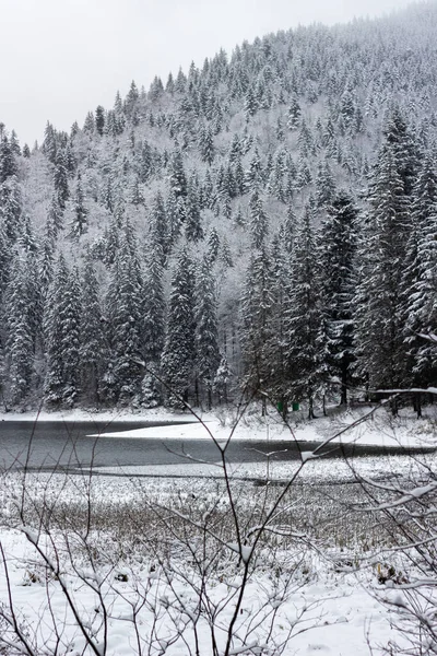 stock image Lake in the winter forest. A reservoir under the mountain. The mountains are covered with snow. Many Christmas trees on the slope. A clean river between trees. Cold and snowy weather. The lake is covered with snow. Branches from a tree.