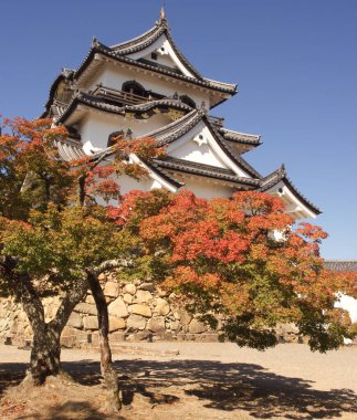 The Hikone Castle during the autumn season with blue sky at Shiga Prefecture Japan. clipart