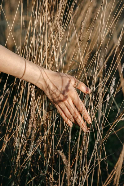 Tarladaki genç bir çiftin yakın plan fotoğrafı.