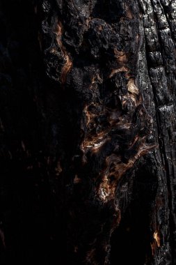 Yanmış ahşap dokusu. Arkaplan resmi.