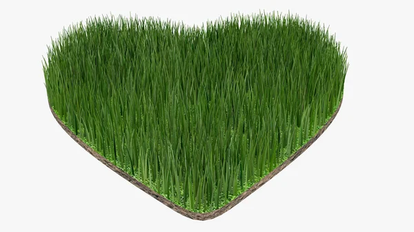 Green Lawn Heart Shape White Background Environmental Conservation Rendering — Stock Photo, Image