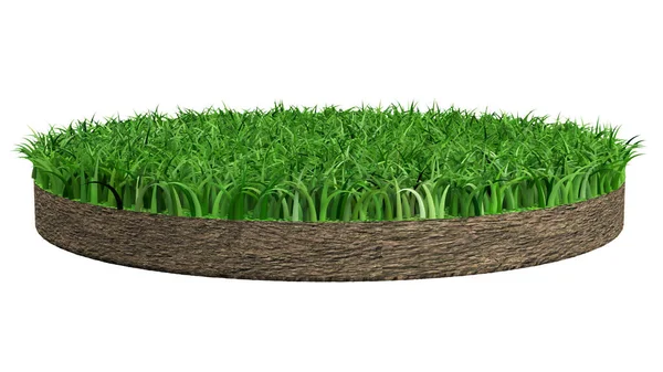Green Lawn Circle White Background Rendering — Stock Photo, Image