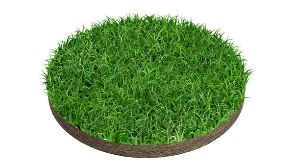 白い背景に緑の芝生の輪3Dレンダリング — ストック写真