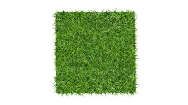 Beyaz arkaplanda yeşil çimen kareleri, 3 boyutlu görüntüleme