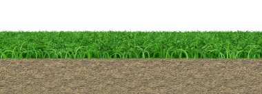 Soyut yeşil çimen ve doğa arkaplan resmi.