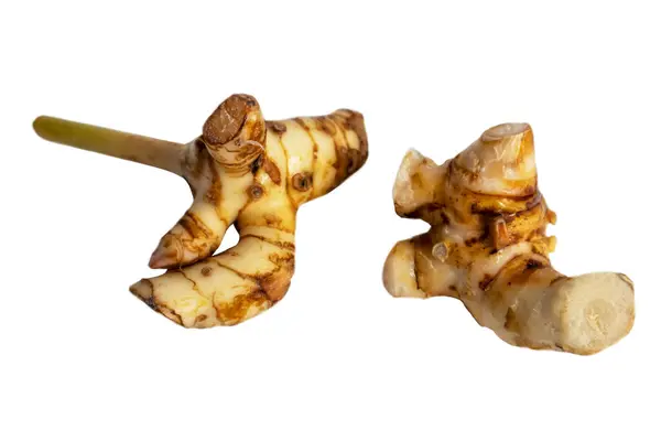 Galangal White Background Asian Seasonings Used Add Flavor Health Royalty Free Stock Photos