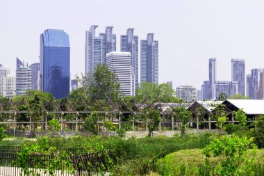 Büyük bir metropoldeki büyük yapılar gündüz büyük metropol, şehrin panoramik resimleri.