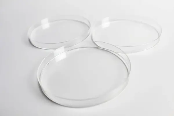 Clear Dishes Used Scientific Medical Experiments Stock Image