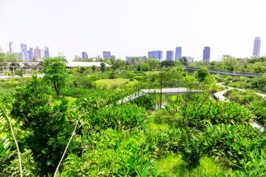 Şehir merkezi parkları ve bahçe yolları açık günlerde