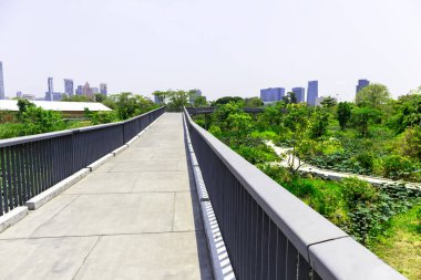 Şehir merkezi parkları ve bahçe yolları açık günlerde