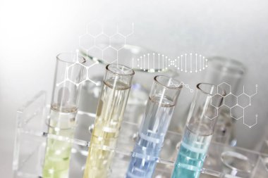 Saydam plakalar bilimsel ve tıbbi deneylerde ve bilimsel ve tıbbi araştırmalarda, uyuşturucu ve kimyasal gelişim araştırmalarında kullanılmaktadır..