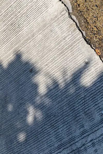 Ağaçların gölgeleri beton zemine düşüyor..