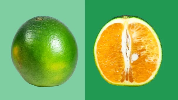 オレンジまたはタンジェリンフルーツ全体をカットし 緑の背景をカット — ストック動画