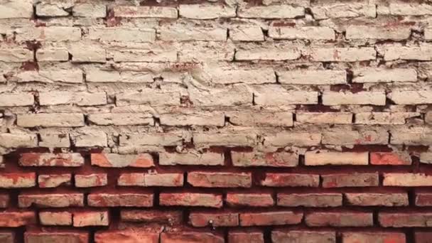 Old Brick Wall Red Color Damaged Masonry Abstract Background Composition — Stock Video