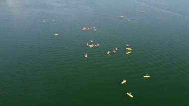 Göl kenarındaki dik duran kürek tahtalarının havadan görüntüsü. Su sporları konsepti. Doğa.