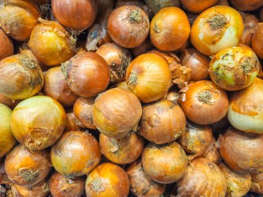 Arka planda bir yığın soğan. Taze soğan. Arkaplan için soğan. Olgun soğan.