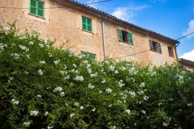 Valldemossa, Palma de Mallorca - İspanya. 26 Eylül 2022. Renkli bitkiler ve yeşil kepenklerle süslenmiş taş evleri geleneksel Majorcan mimarisinin geleneksel tadını korudu.