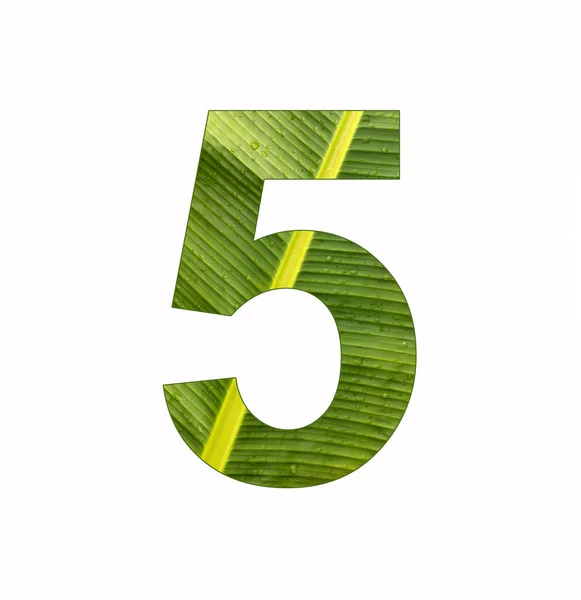Number Digit Five Banana Plant Leaf Background — Stock Photo, Image