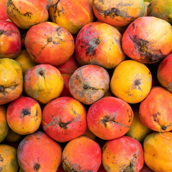 Mangifera Indica Mango Frutas Ecológicas Plaza Del Mercado Colombiano —  Fotos de Stock