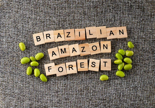 Szója Egyik Felelős Amazonasi Esőerdők Erdőpusztulásáért — Stock Fotó