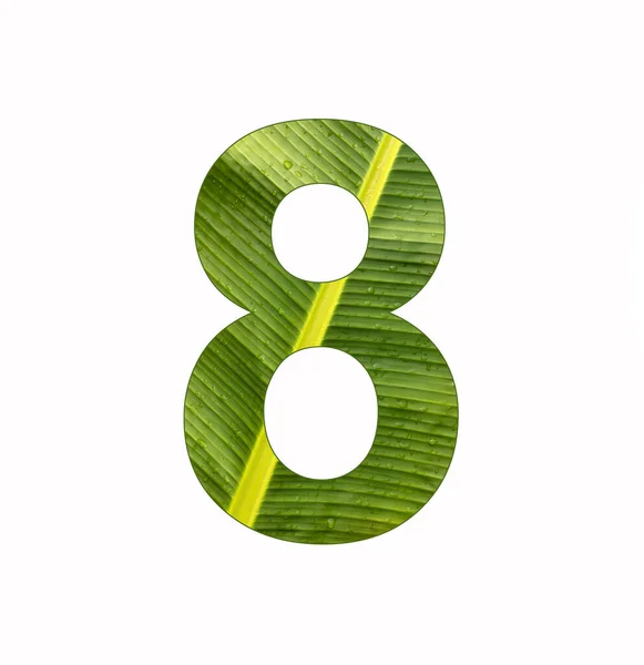 编号8 在香蕉叶背景图上数字8 — 图库照片