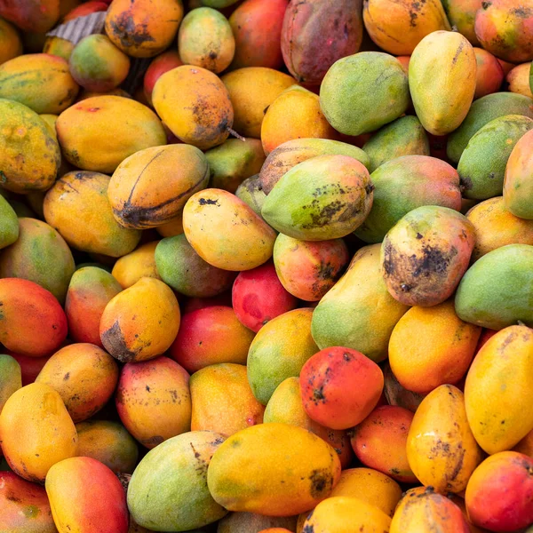 Mangifera Indica Mango Frutas Ecológicas Plaza Del Mercado Colombiano —  Fotos de Stock