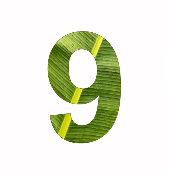 バナナの葉の背景に9個のデジタル — ストック写真