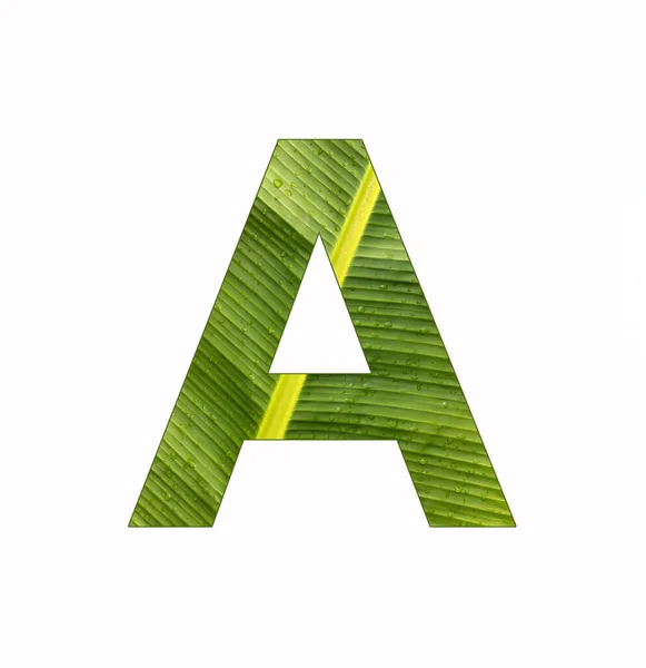 Alfabeto Carta Banana Planta Folha Fundo — Fotografia de Stock