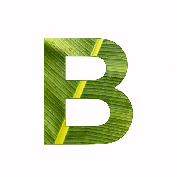 アルファベット文字B バナナの葉の背景 — ストック写真
