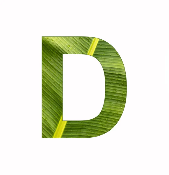 Alfabetet Brev Bananplantan Blad Bakgrund — Stockfoto