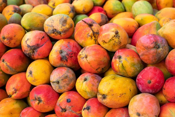 Biologische Fruchtmango Auf Dem Kolumbianischen Marktplatz Mangifera Indica — Stockfoto