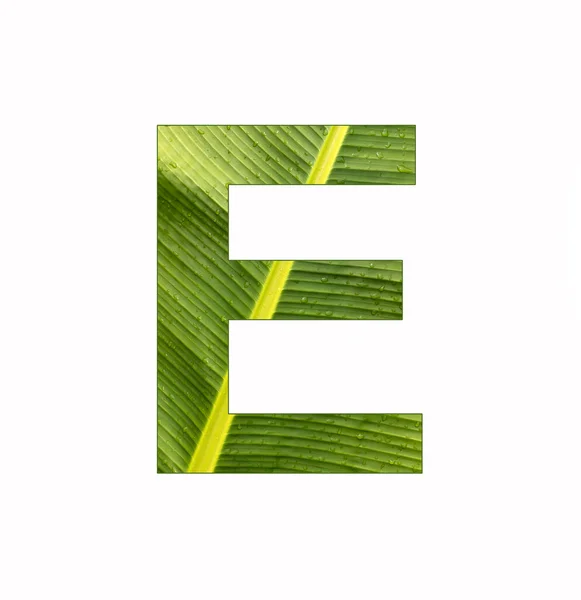 Alphabet Letter Banana Plant Leaf Background — Stock Photo, Image