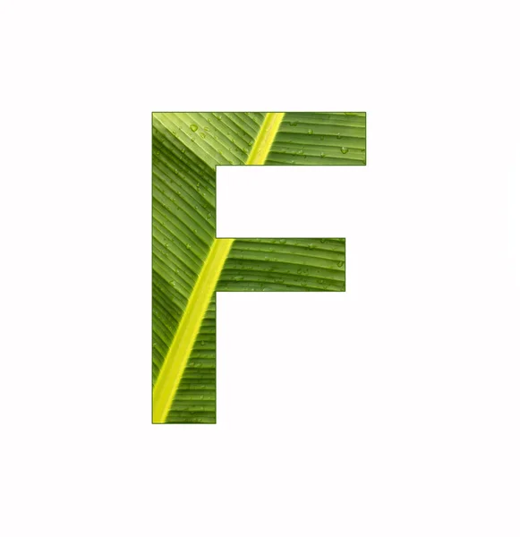 Алфавит Буква Банановые Листья Растений Фон — стоковое фото